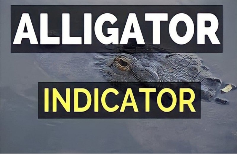 اندیکاتور Williams Alligator، چیست و چگونه کار می کند؟