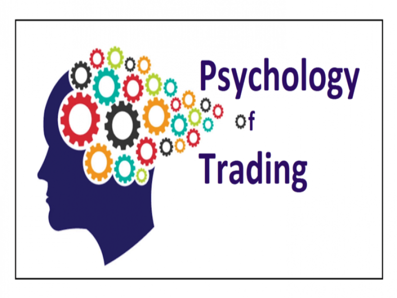 روانشناسی بازار فارکس | اموزش روانشناسی بازار فارکس 