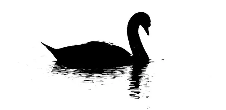 مفهوم رویداد قوی سیاه چیست؟ نظریه Black Swan 