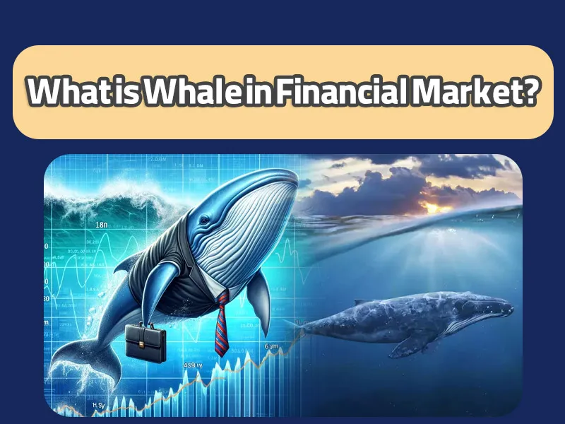 نهنگ (wale) در بازارهای مالی چیست؟ استراتژی سود ساز با نهنگ ها شنا کن! 