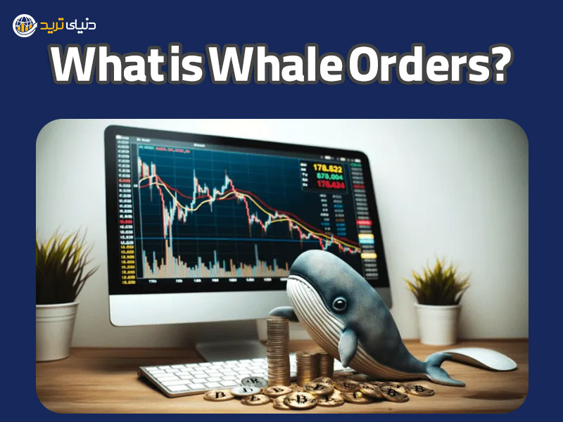 سفارش نهنگ ها چیست؟