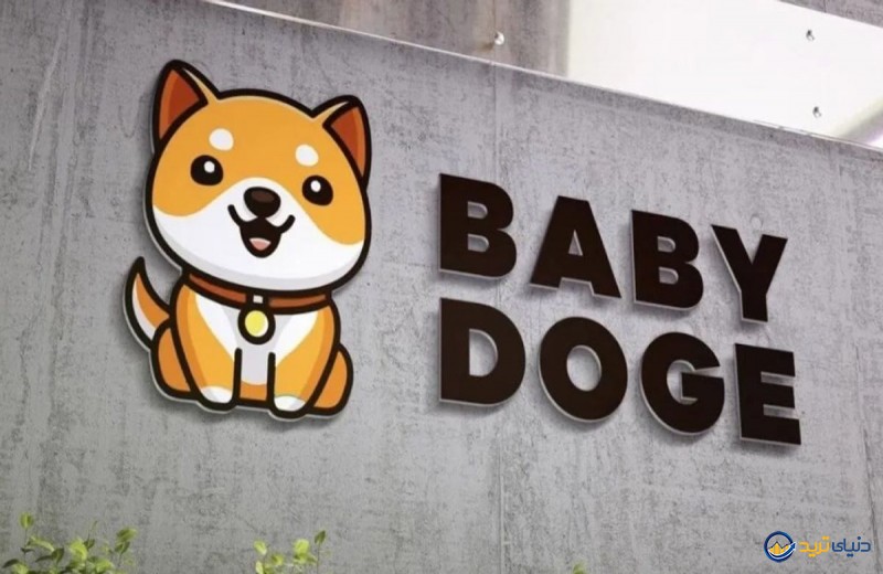 احتمال لیست شدن ارز بیبی دوج (Baby Doge) در صرافی بایننس